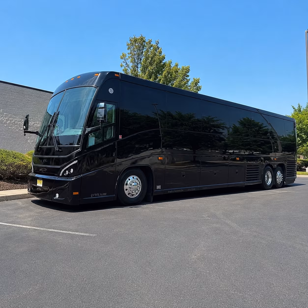 spring break and south padre island bus rentals from mission